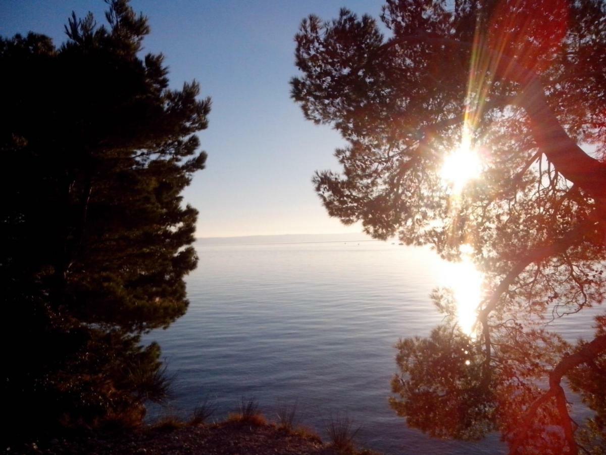 Apartman Robertino 1966 Makarska Esterno foto
